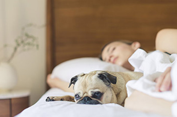 Indoor Pollution is More SeriousThan Outdoor Pollution Indoor Pollution is More SeriousThan Outdoor Pollution