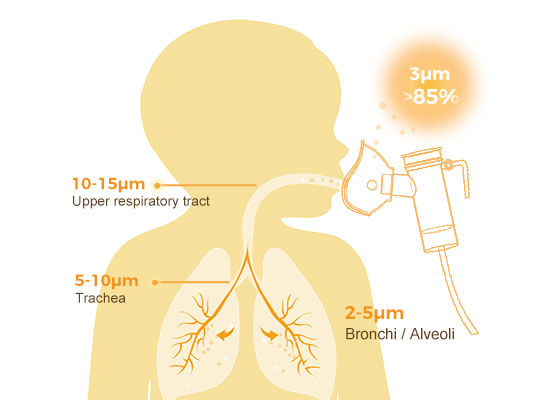 Optimum Medication Absorption